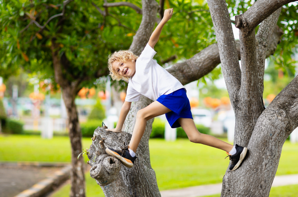 Happy child learning through play, climbing a tree