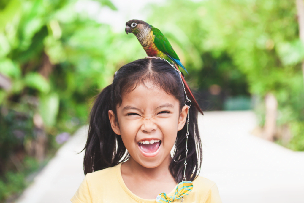 Child laughing funny jokes parrot on head