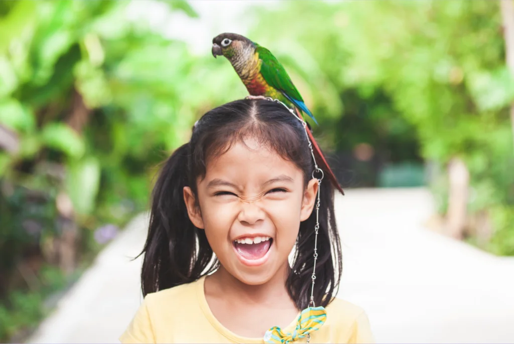 Child laughing funny jokes parrot on head
