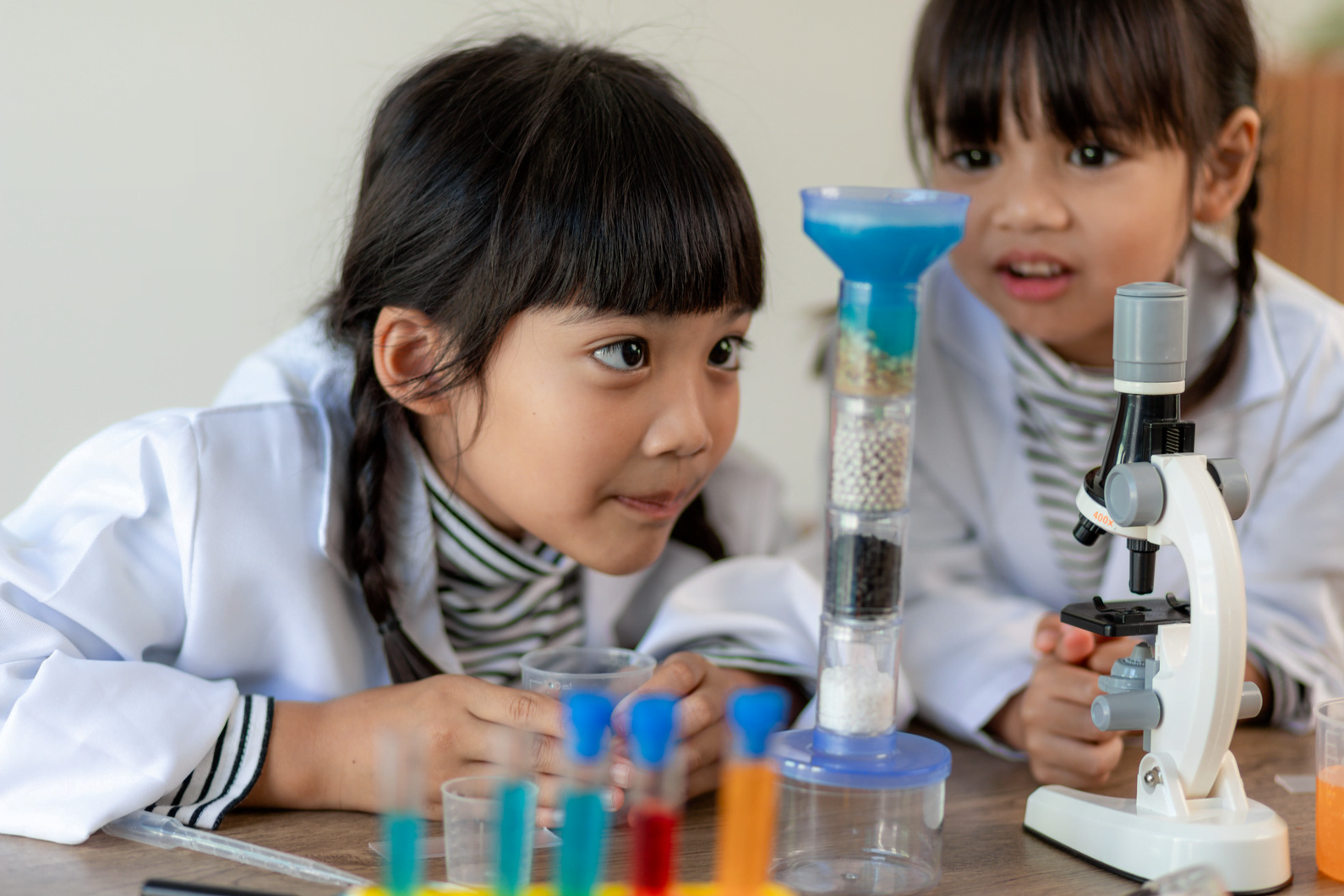 children learn about science in British higher education in england and wales